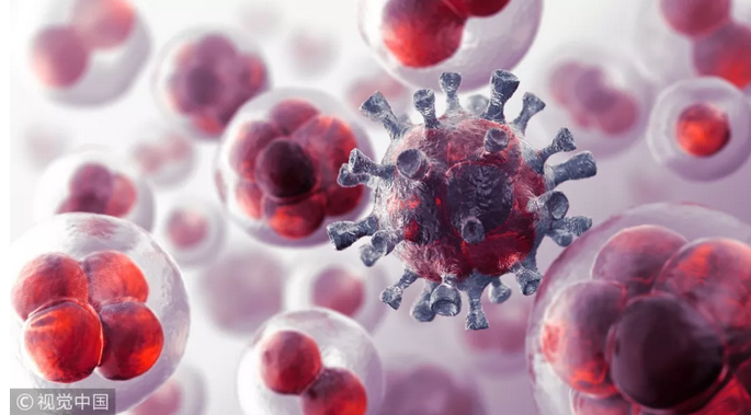 1552299954942912.png 2.png