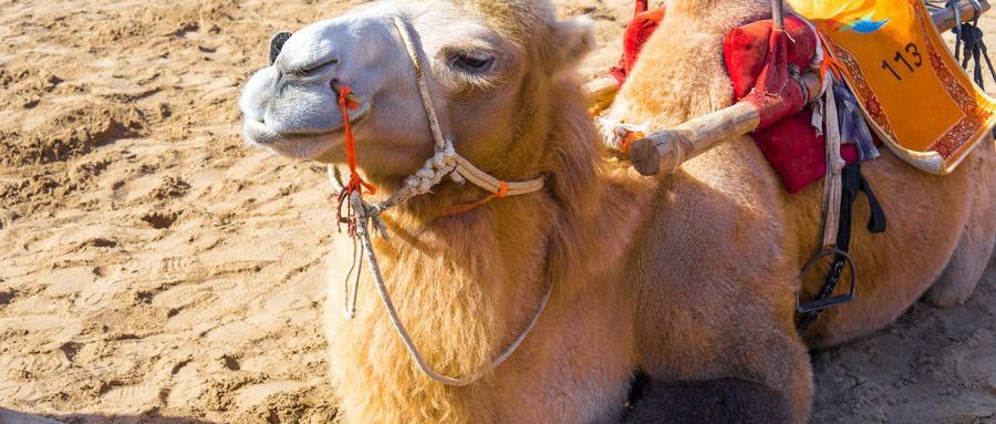 1552355902980802.jpg 微信图片_20190312095653.jpg