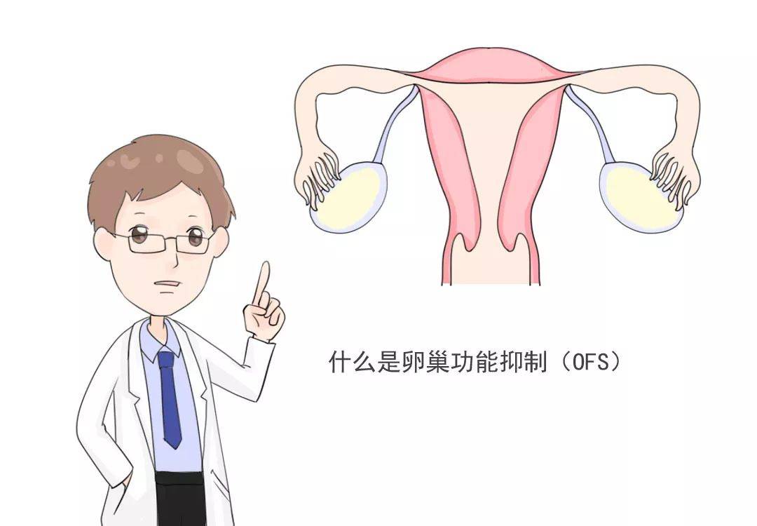 1552558500324186.jpg 微信图片_20190314181405.jpg