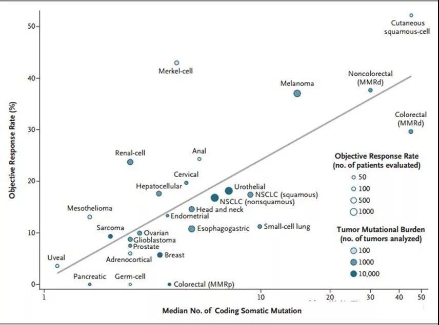 1553586550481892.jpg 2.jpg