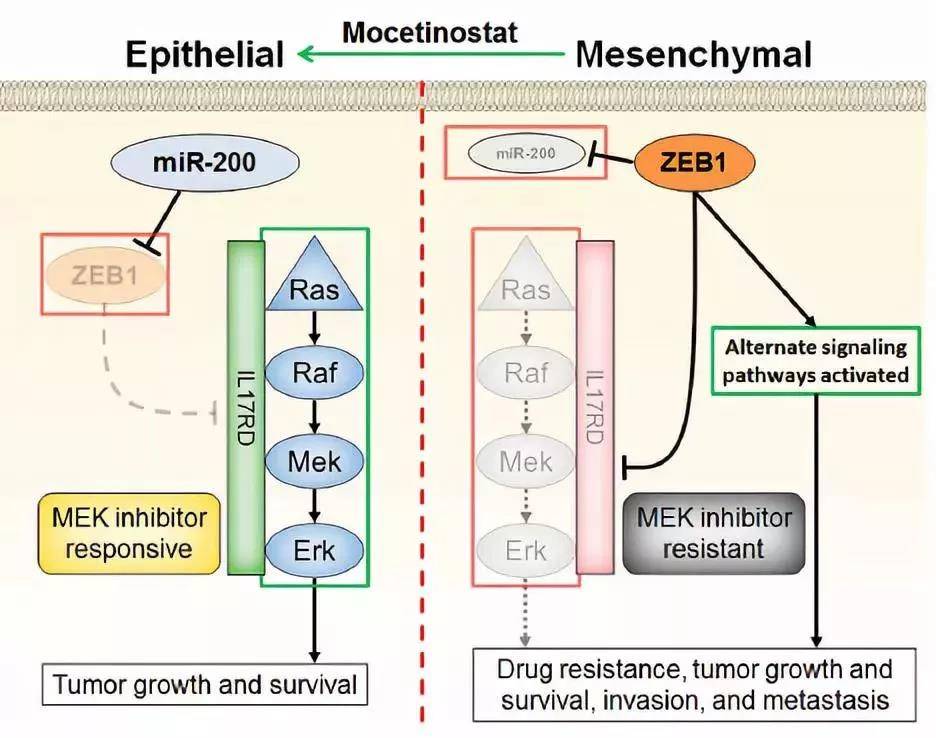 1554111691456520.jpg 6.jpg