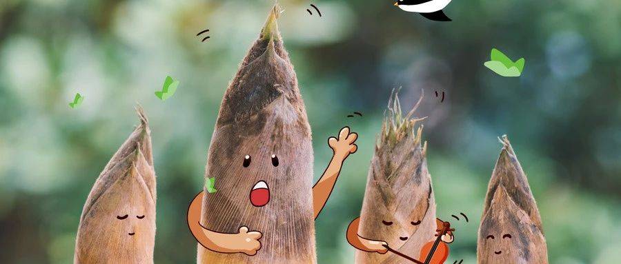 1554113762276836.jpg 微信图片_20190401181502.jpg