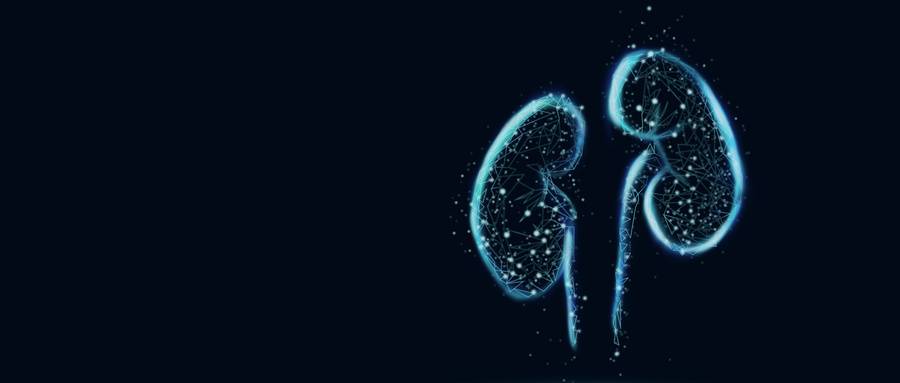 摄图网_400181694_wx (1).jpg