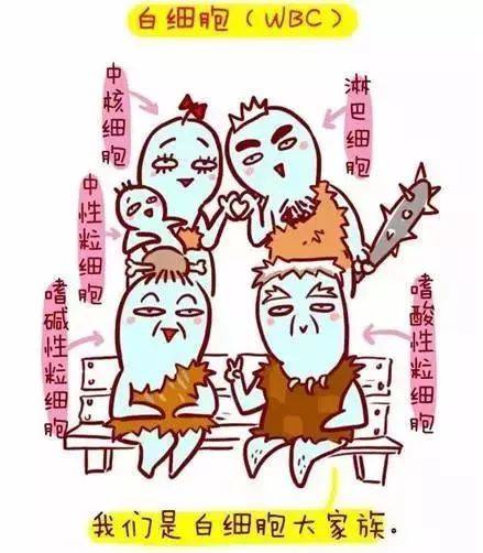 1554975845903793.jpg 微信图片_20190411173936.jpg
