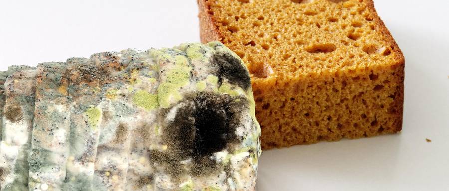 1555464061815057.jpg 摄图网_500385728_wx.jpg