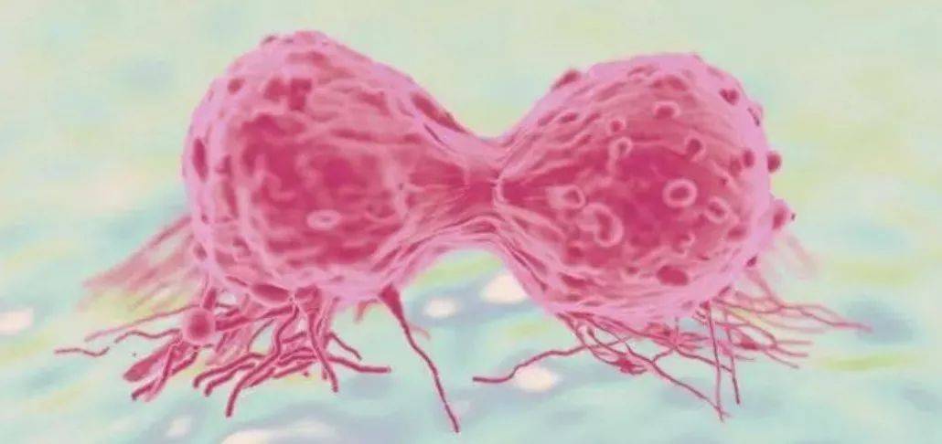 1555481518957490.jpg 微信图片_20190417141047.jpg