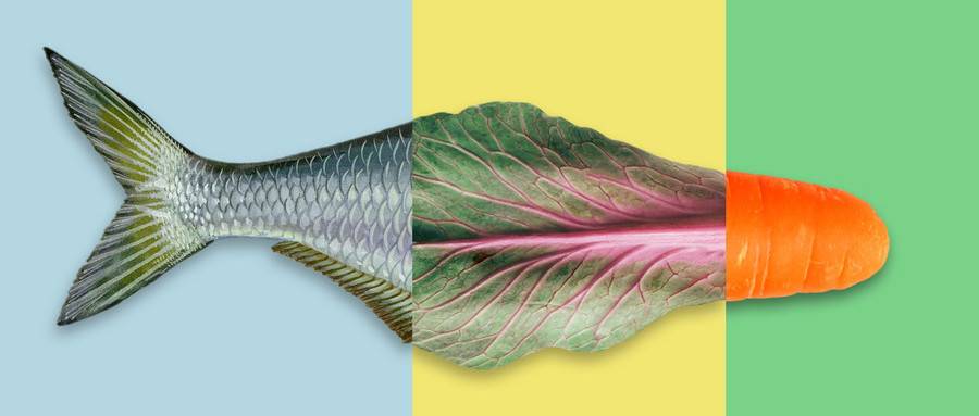 1556274289711888.jpg 摄图网_500643864_wx.jpg