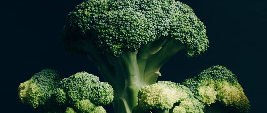 1556280113733052.jpg 摄图网_500424312_wx.jpg