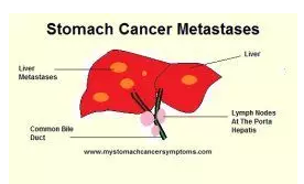 1556416808849413.png 搜狗截图19年04月28日0959_12.png