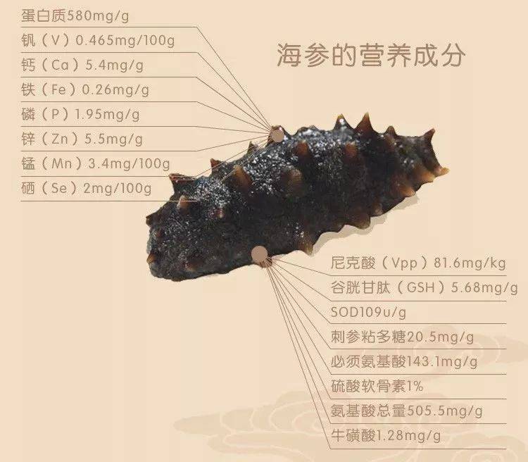 1556522198305858.jpeg 640-1.jpeg