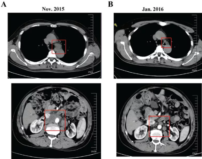 1556795398778065.png 3.png