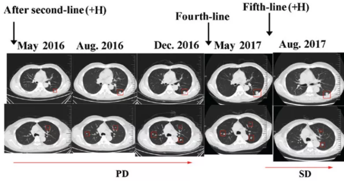 1556795416449234.png 1556795416449234.png