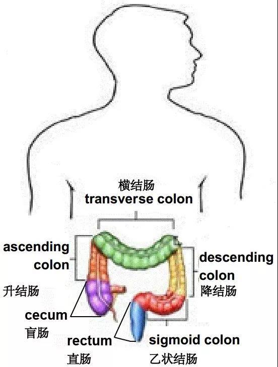 1557051065283231.jpg 微信图片_20190430163003.jpg