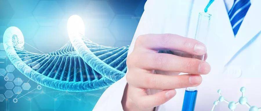 1557140128457718.jpg 微信图片_20190506185215.jpg