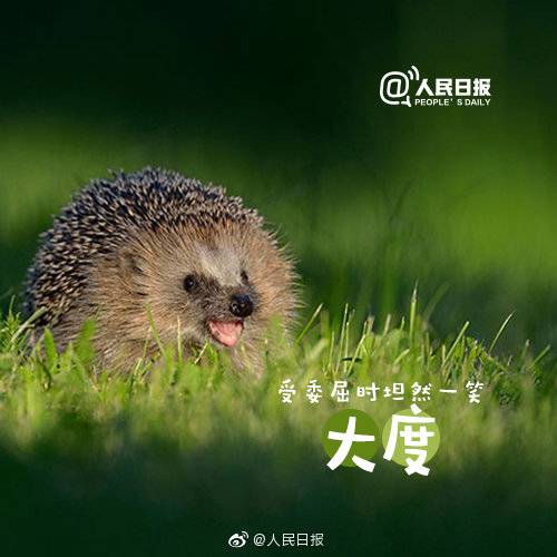 1557291009193503.jpg 1557291009193503.jpg