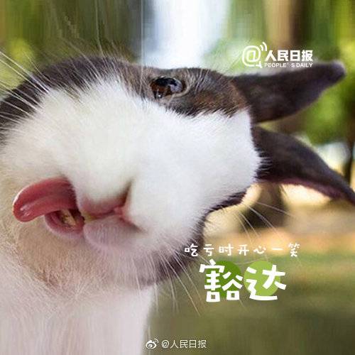 1557291009367231.jpg 1557291009367231.jpg