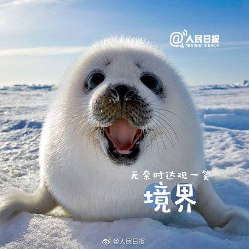 1557291009634004.jpg 1557291009634004.jpg