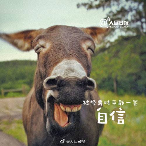 1557291009822741.jpg 1557291009822741.jpg