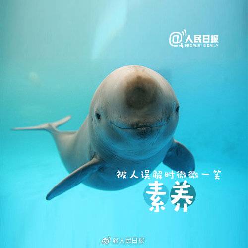 1557291009910217.jpg 1557291009910217.jpg