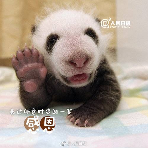 1557291010805269.jpg 1557291010805269.jpg