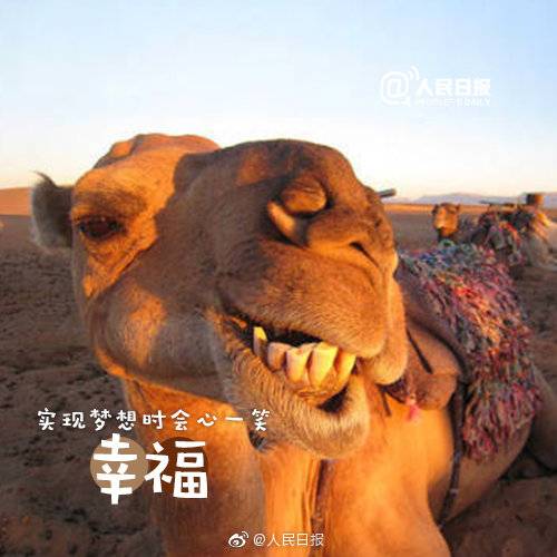 1557291010919171.jpg 1557291010919171.jpg