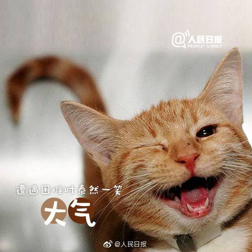 1557291010955759.jpg 1557291010955759.jpg