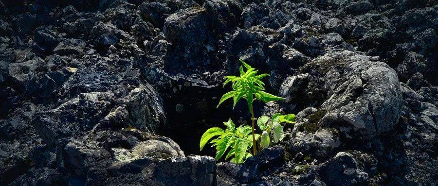 1557486434427414.jpeg 640-2.jpeg