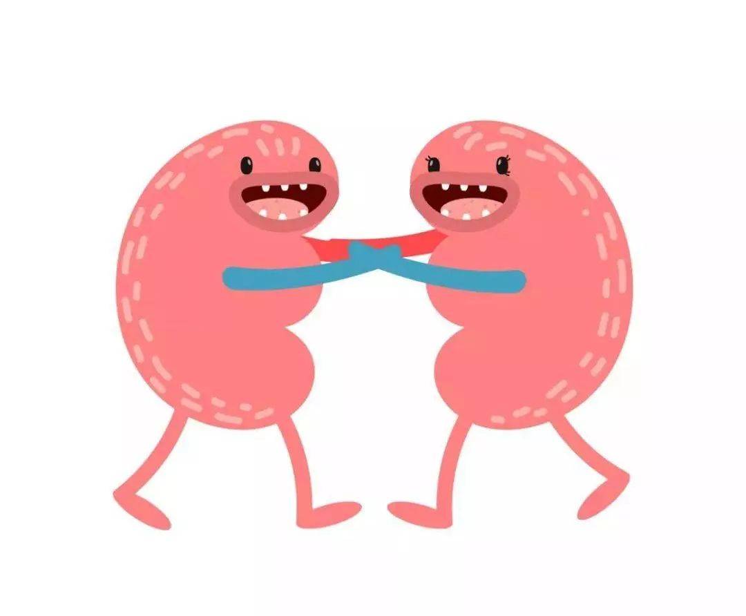 1557901860142750.jpg 微信图片_20190515142931.jpg