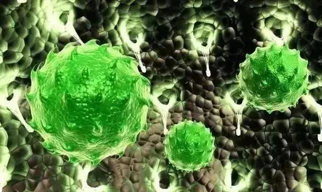 1558492046822041.jpg 微信图片_20190522102709.jpg