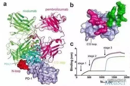 1558492057498574.jpg 微信图片_20190522102711.jpg