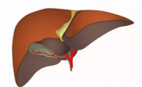 1558593046498884.png image.png