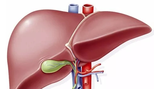 1558593420248175.png image.png