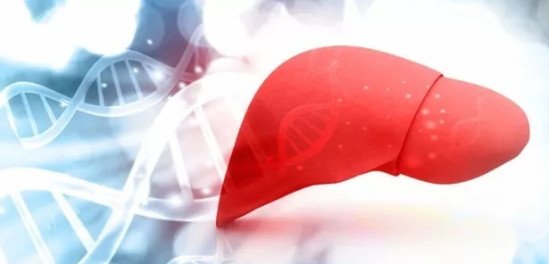 1558593508941280.png image.png