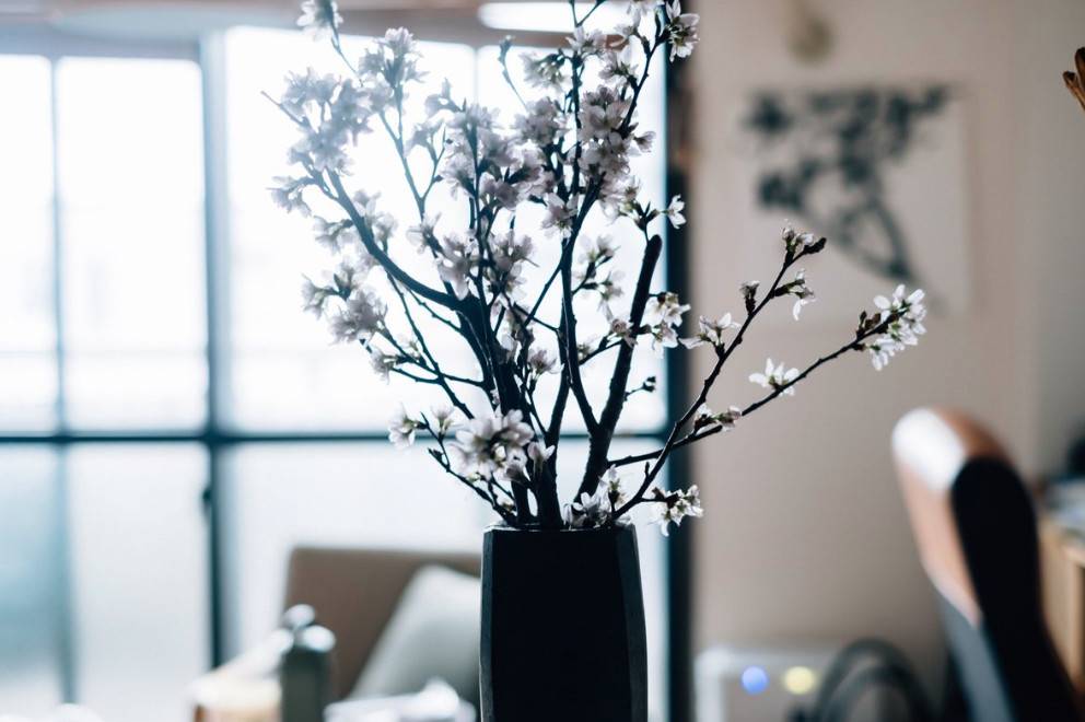 1558605868434148.jpg 微信图片_20190523175353.jpg