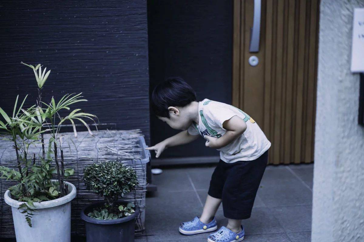 1558606006583669.jpg 微信图片_20190523175441.jpg