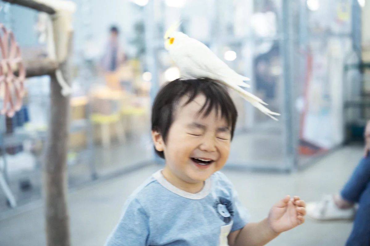 1558606226884768.jpg 微信图片_20190523175546.jpg