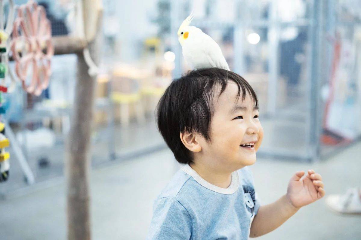 1558606264778020.jpg 微信图片_20190523175550.jpg