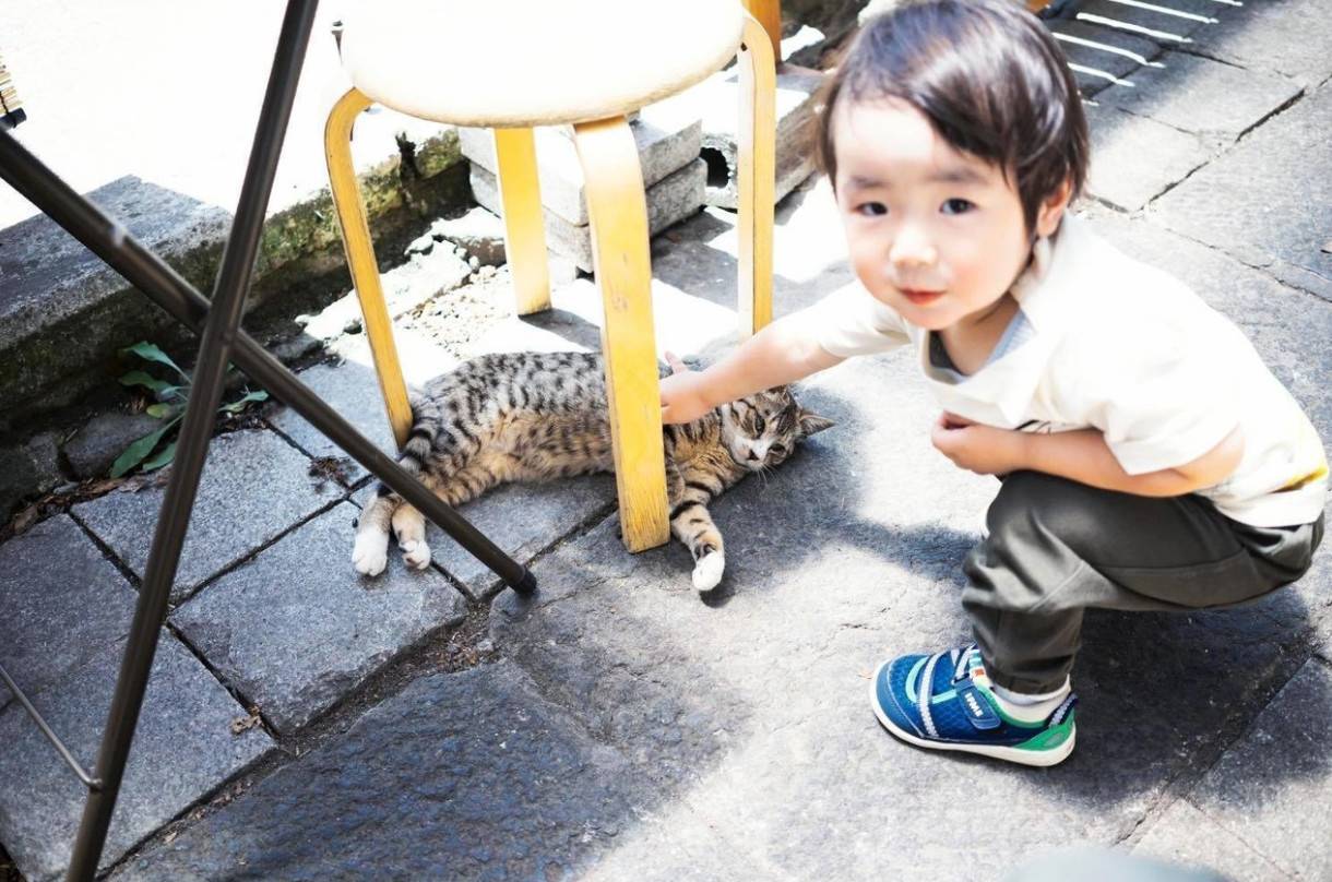 1558606346198161.jpg 微信图片_20190523175605.jpg