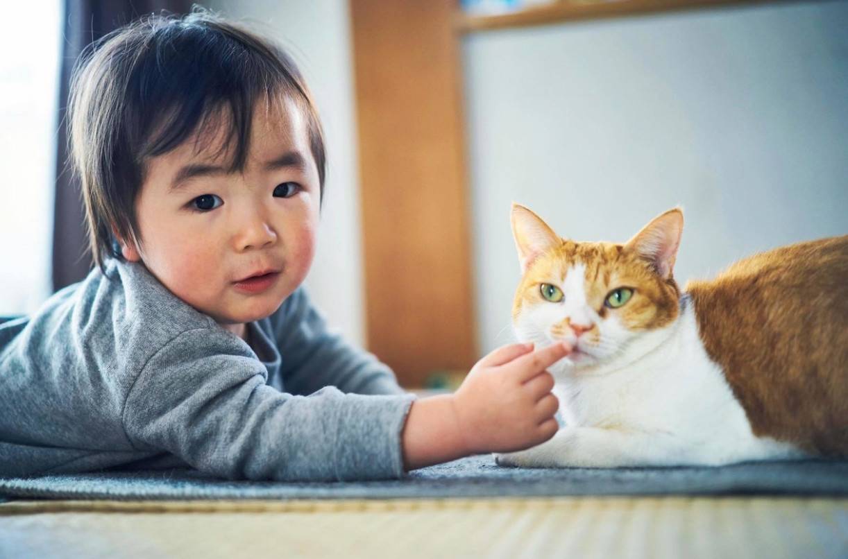 1558606355403591.jpg 微信图片_20190523175608.jpg