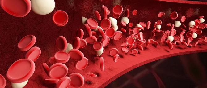 1558920045342175.png 搜狗截图19年05月27日0918_6.png