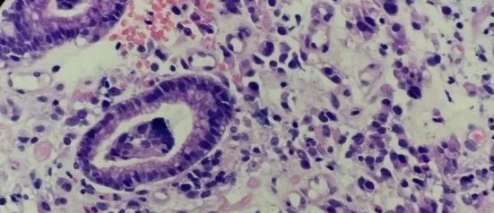 1559180023215154.png 1559180023215154.png