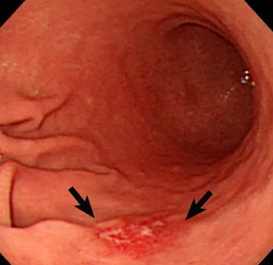 1559180087537355.png 1559180087537355.png