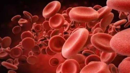 1559184463694506.jpg 微信图片_20190530104651.jpg