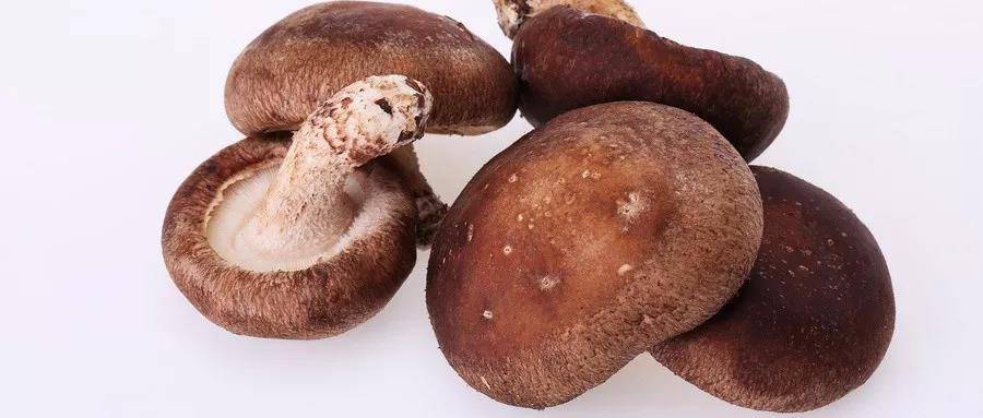 1559636355529367.jpg 8.jpg