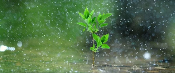 1559898892704521.png FireShot Capture 163 - 胃癌康复圈 - mp.weixin.qq.com.png