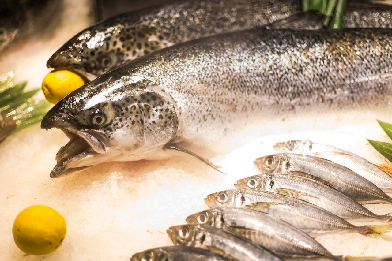 1560477207117973.jpg 微信图片_20190614095215.jpg