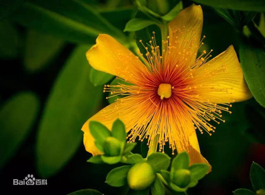 1561458049148135.jpg 微信图片_20190625181845.jpg