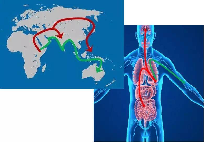 1561458810645397.jpg 2.jpg