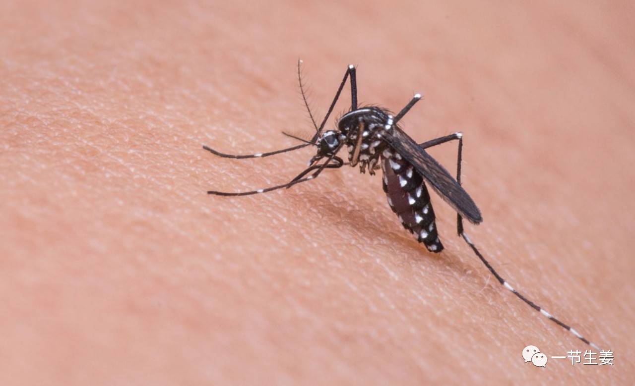 1562061709678870.jpg 微信图片_20190702180103.jpg