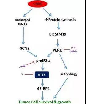 1562205004634215.jpg 微信图片_20190704094732.jpg